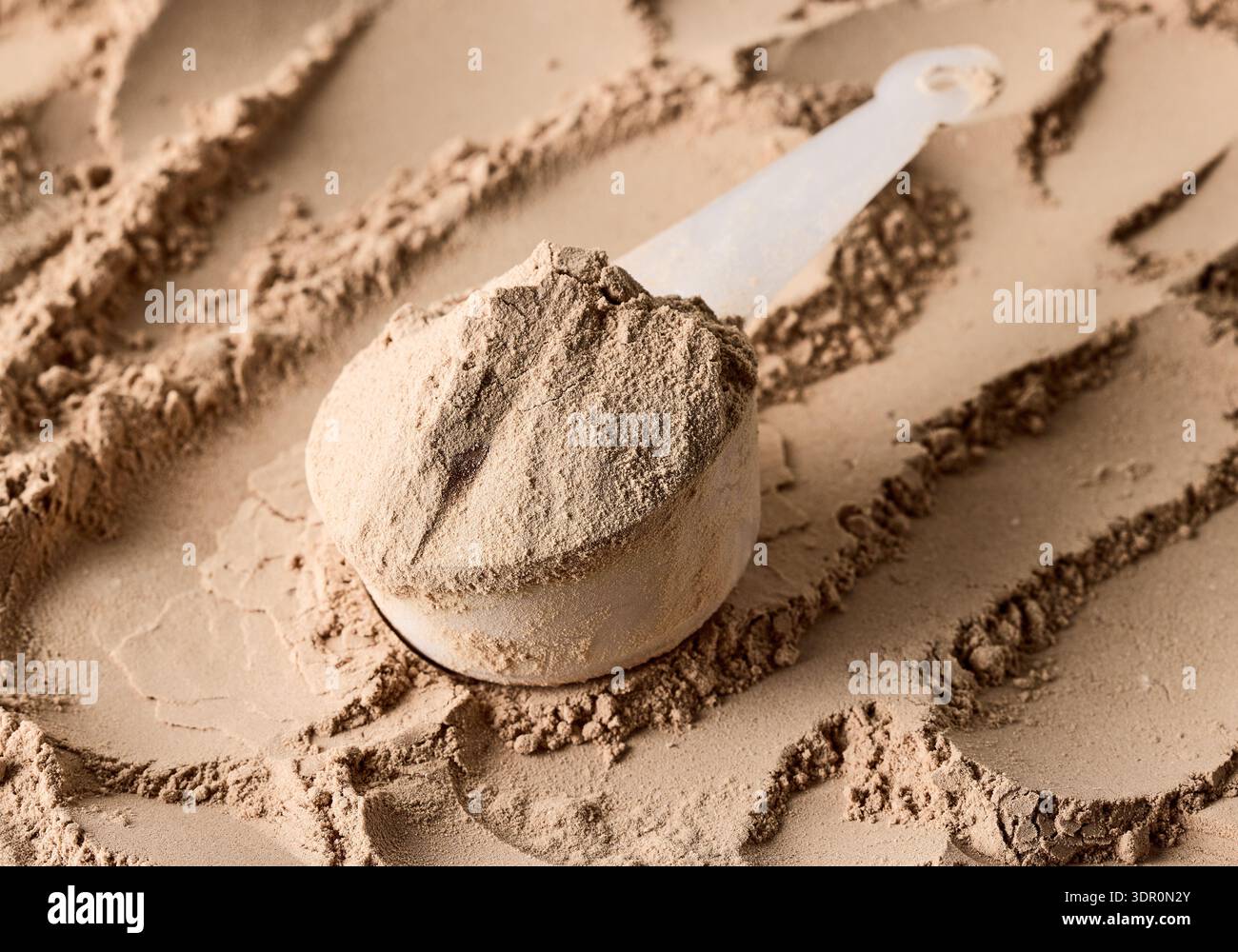 poudre végétalienne aromatisée au chocolat whey protein dans une cuillère sur fond de poudre Banque D'Images