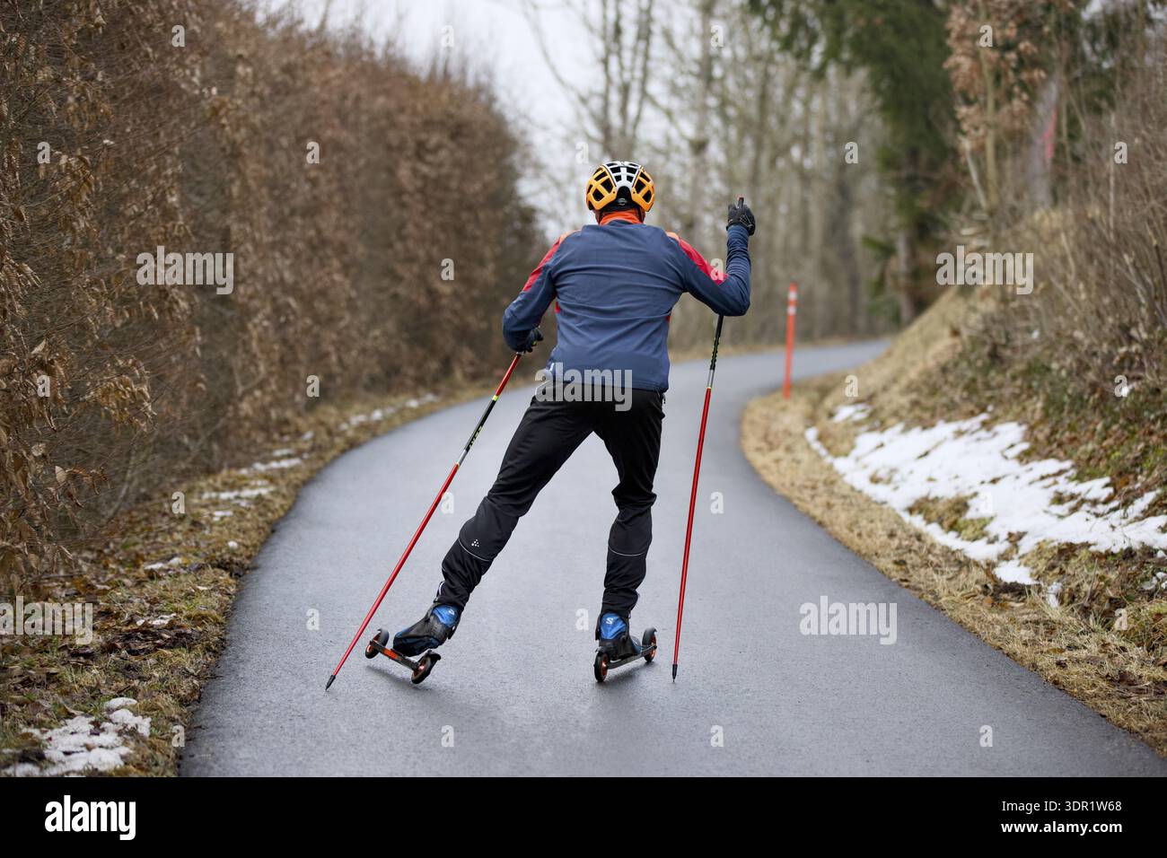 Ski à roulettes sur la piste cyclable en plein air, sport en hiver, glisse à roulettes sport dynamique, glisse sur un ski à roulettes au départ, bâtons de ski à roulettes wh Banque D'Images