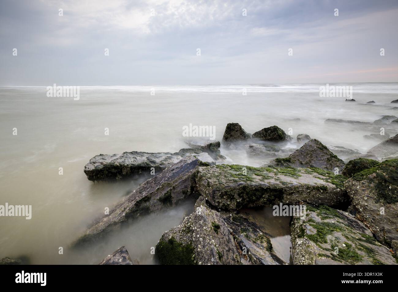 Horizon marin brumeux avec des rochers couverts d'algues dans le surf, Wenduine, de Haan, Flandre, Belgique Banque D'Images