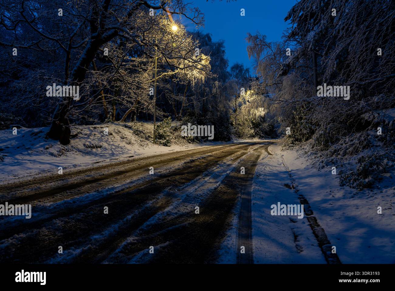 Vue d'une route enneigée la nuit sous les lampadaires Banque D'Images