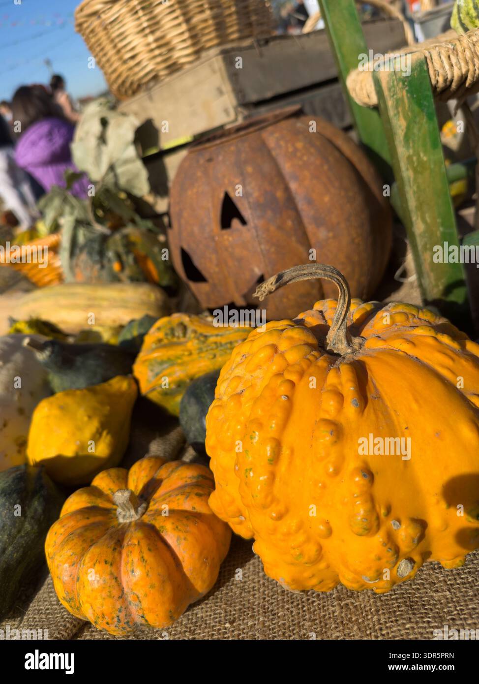 citrouille d'halloween sur une clôture en bois Banque D'Images