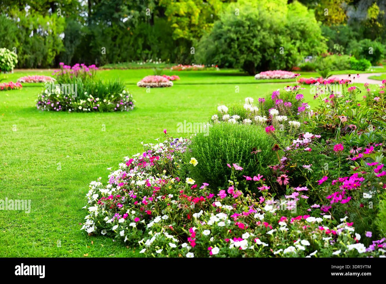 Jardin paysager avec des parterres de fleurs vibrantes, des plantes en fleurs et une pelouse verdoyante dans un parc ensoleillé. Décor estival lumineux avec arbustes ornementaux Banque D'Images