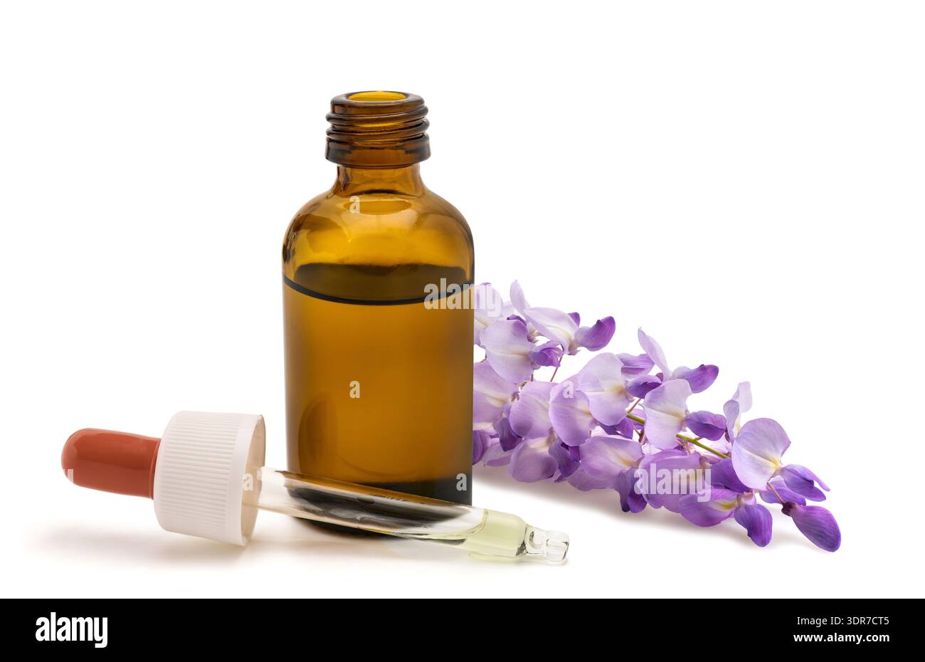 Fleurs de Wisteria avec bouteille d'extrait isolé sur blanc Banque D'Images