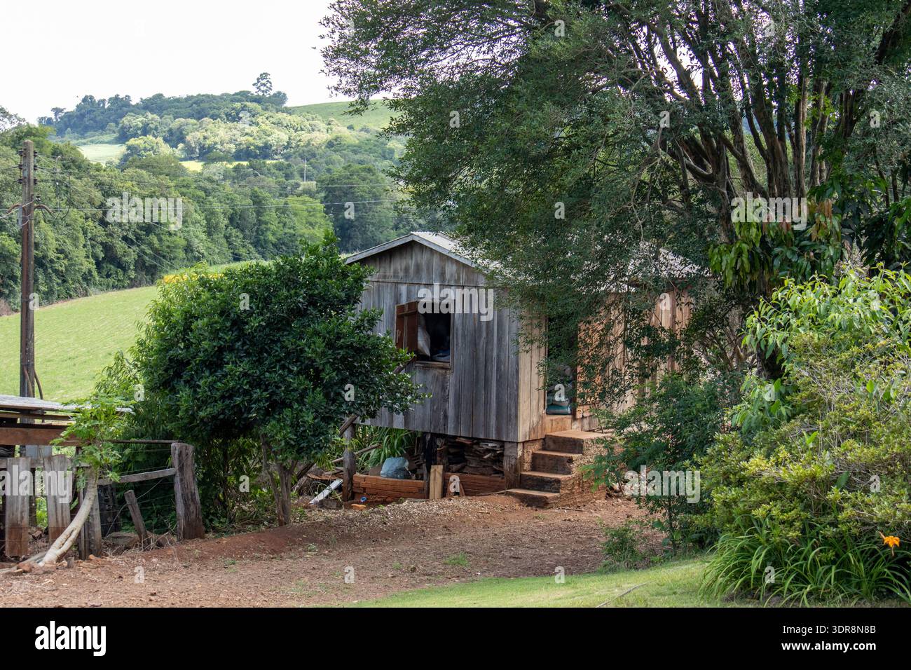 Maison de ferme rustique en bois parmi les arbres dans un paysage rural à Nova Esperanca do Sudoeste Parana Brésil Banque D'Images