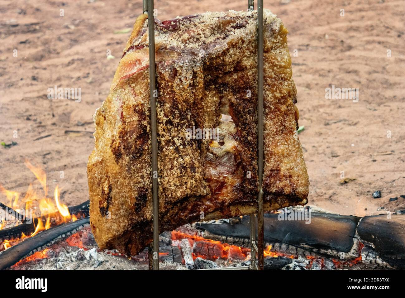 Gros plan de côtes de bœuf salées rôties sur un stand métallique vertical au-dessus d'un feu au sol à Florestopolis Parana Brésil Banque D'Images