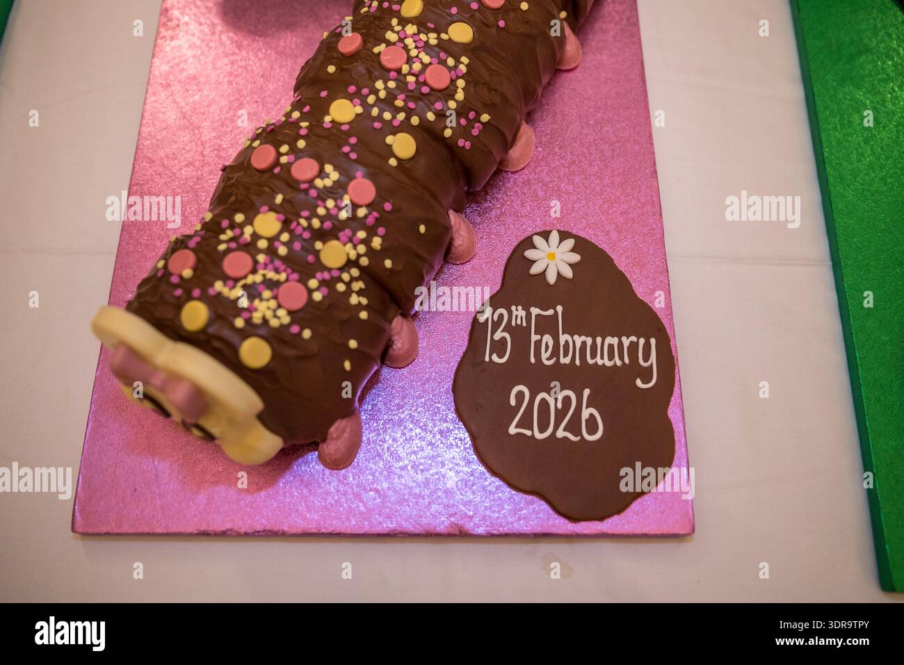 Colin le gâteau chenille exposé lors d'un mariage à Putney. Banque D'Images