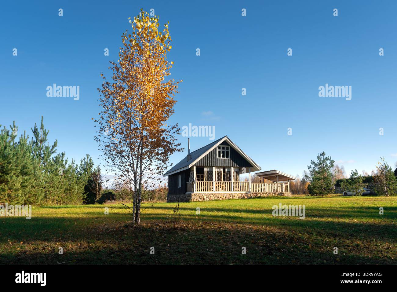 Une belle maison rurale avec une terrasse en bois confortable, entourée d'herbe verte luxuriante et d'une forêt sereine. Escapade idyllique parfaite à la campagne sur un c Banque D'Images