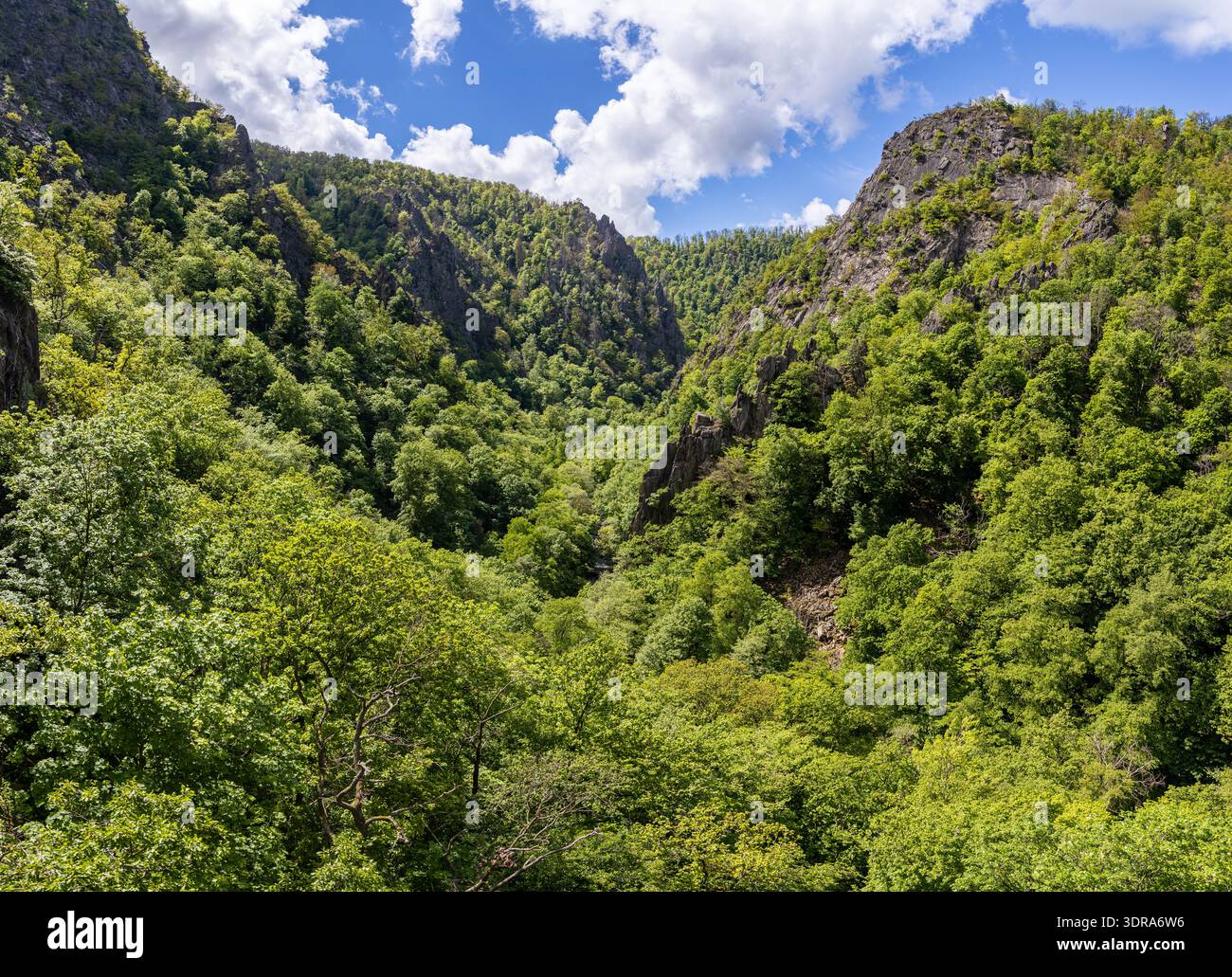 Photos de la résine Bodetal près de Thale Banque D'Images