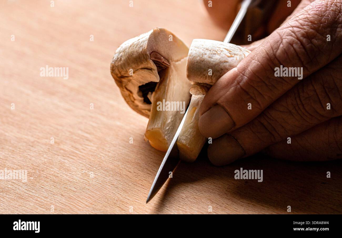 Les mains de la femme coupant des champignons sur la table en bois. Mains cuisant des légumes sains. Mains de l'homme coupant des champignons avec couteau dans la cuisine. Copier l'espace Banque D'Images