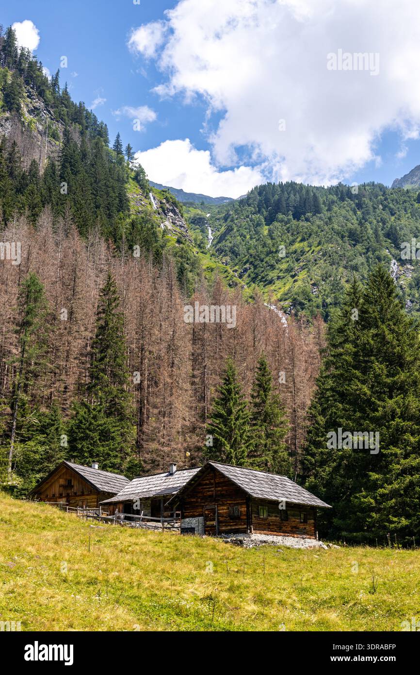 Impressions du parc national de Mallnitz Hohe Tauern Seebachtal Banque D'Images