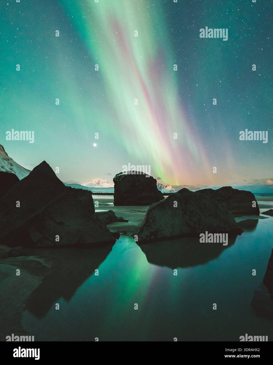Vue sur les danses aurores boréales à travers le ciel nocturne, reflétée dans l'eau calme parmi les rochers sombres et accidentés sur la plage, Ramberg, Nordland, No Banque D'Images