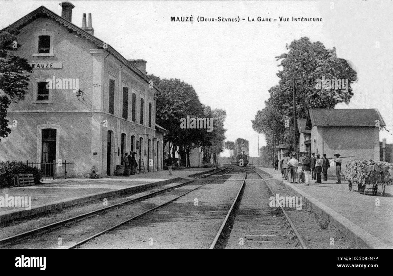 Cette vue intérieure de la gare de Mauzé au début des années 1900 montre un train arrivant, des passagers attendant sur le quai opposé près d'un abri, et des personnes supplémentaires devant le bâtiment de la gare. La photographie capture les opérations ferroviaires, l'activité des passagers, la conception des quais, l'architecture de la gare et la vie quotidienne dans une gare française au début du XXe siècle. Banque D'Images