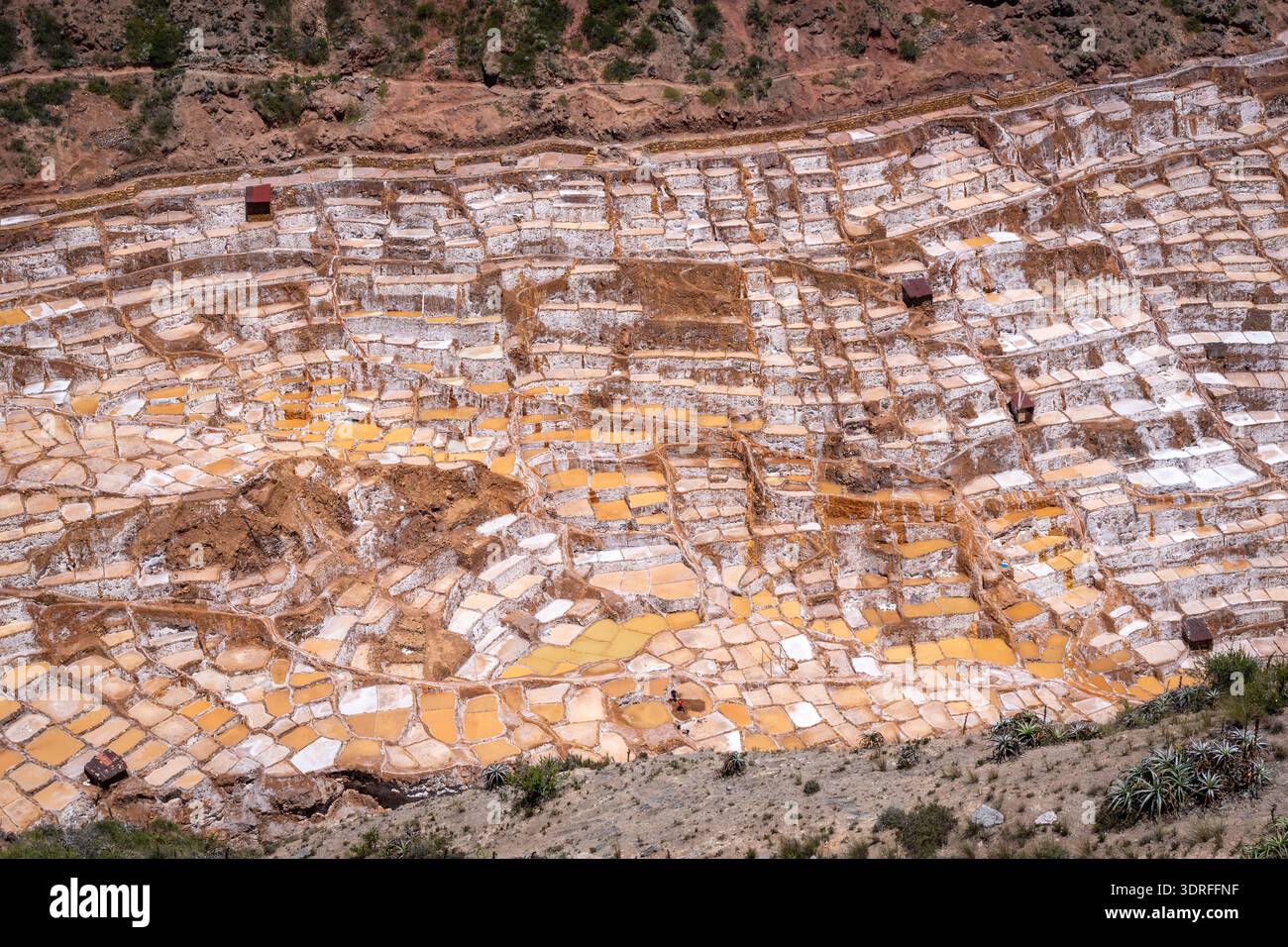 Terrasses de sel à Salinas de Maras dans la Vallée sacrée, Pérou Banque D'Images