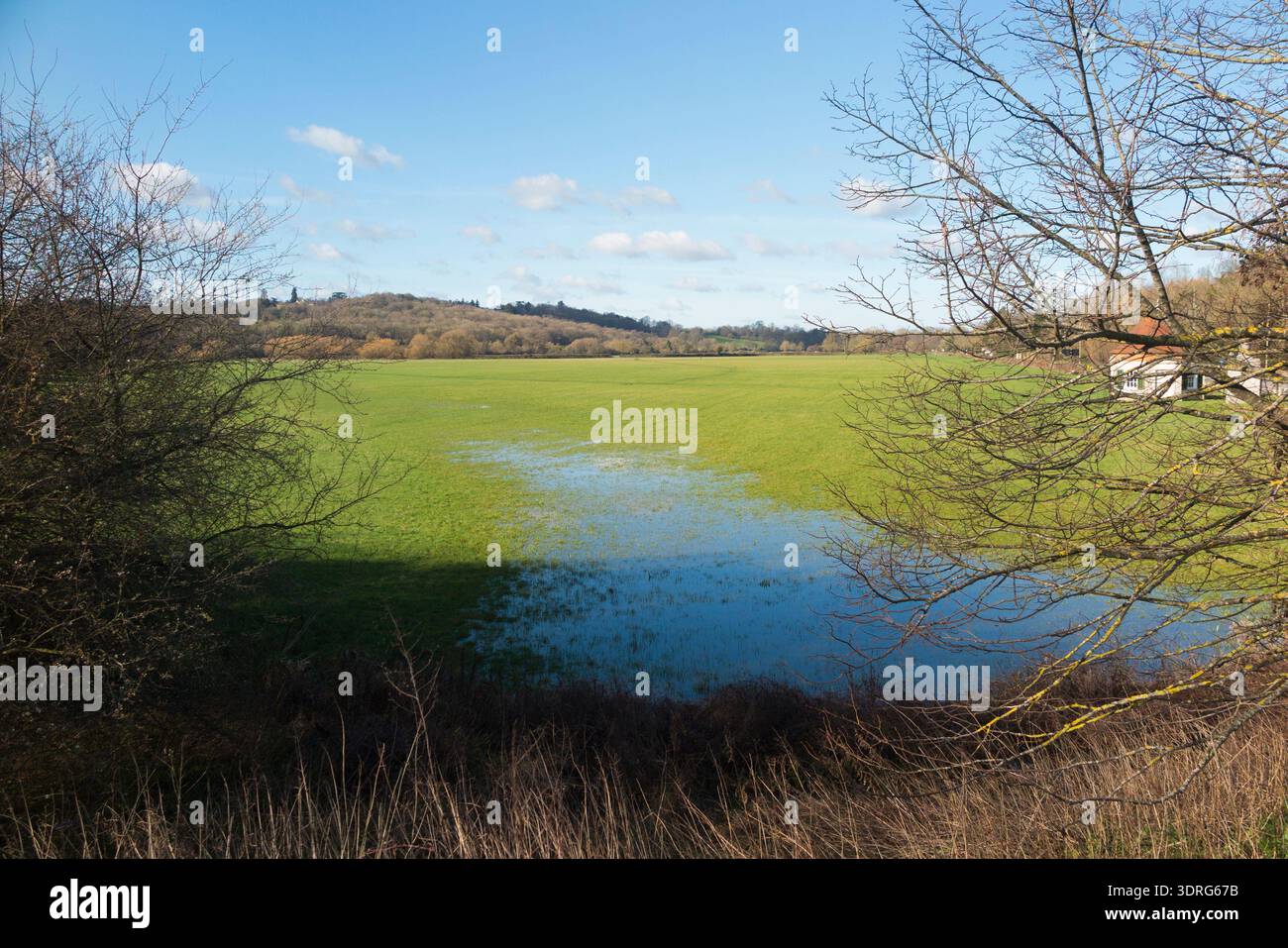 Runnymede Meadows & Flood plaine, site de la signature de la Magna Carta en l'an 1215 par le roi John & les barons anglais. Journée d'hiver ensoleillée avec ciel bleu et soleil. Surrey. ROYAUME-UNI. (147) Banque D'Images
