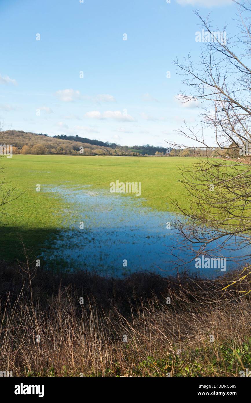 Runnymede Meadows & Flood plaine, site de la signature de la Magna Carta en l'an 1215 par le roi John & les barons anglais. Journée d'hiver ensoleillée avec ciel bleu et soleil. Surrey. ROYAUME-UNI. (147) Banque D'Images