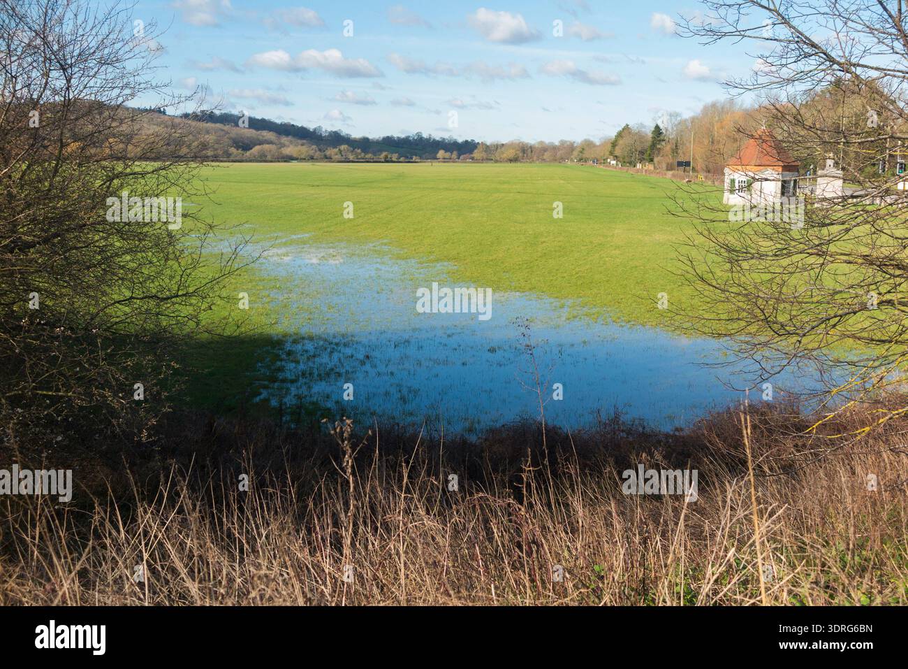 Runnymede Meadows & Flood plaine, site de la signature de la Magna Carta en l'an 1215 par le roi John & les barons anglais. Journée d'hiver ensoleillée avec ciel bleu et soleil. Surrey. ROYAUME-UNI. (147) Banque D'Images