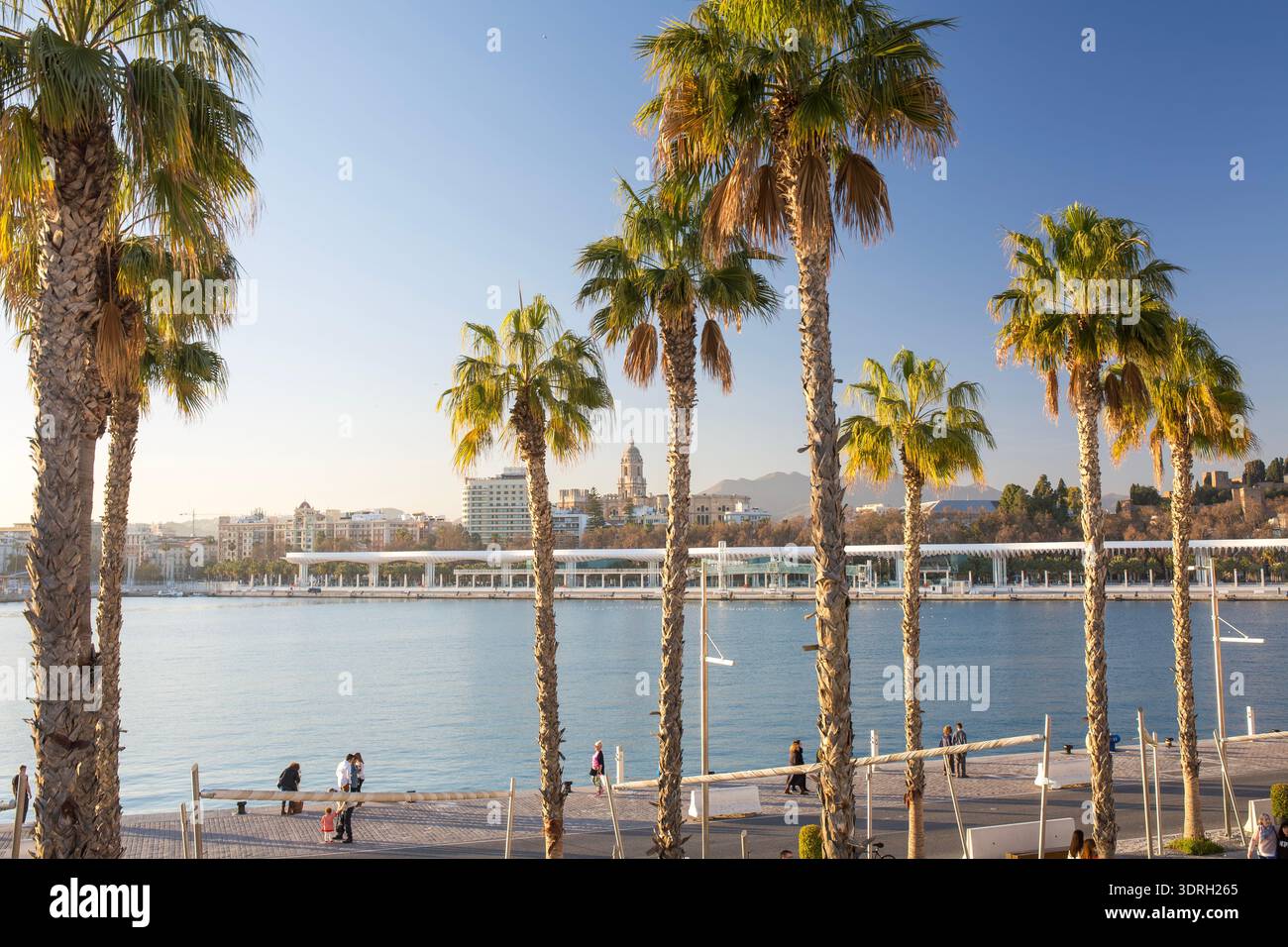 Malaga, Espagne – 10 février 2020 : vue côtière sur le port de Malaga avec de grands palmiers bordant la promenade du front de mer et la canopée ondulée blanche de Palmer Banque D'Images
