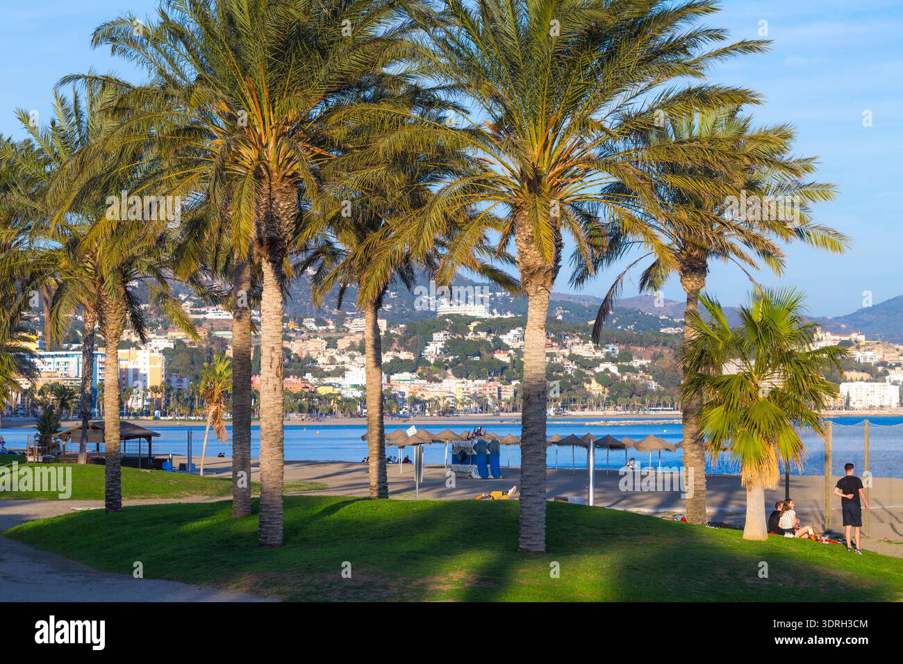 Malaga, Espagne – 11 février 2020 : des palmiers verdoyants dans un parc offrent une vue panoramique sur la plage de sable de Malagueta et la mer Méditerranée avec l'Andalusi Banque D'Images