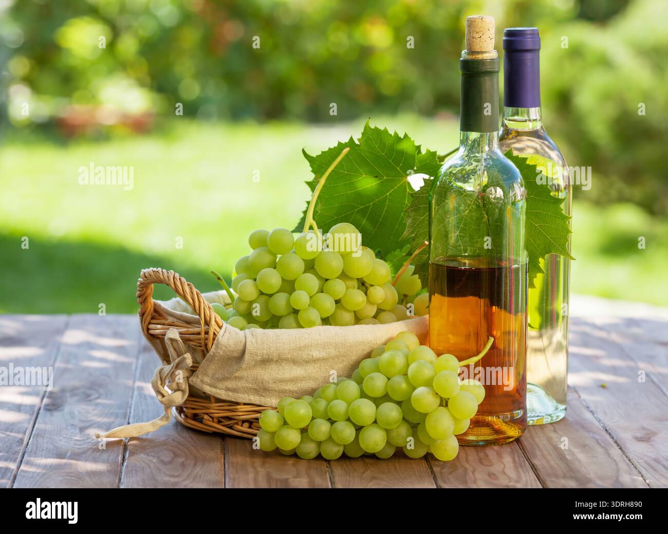 Des bouteilles de vin blanc, vigne et grappe de raisins outdoor Banque D'Images