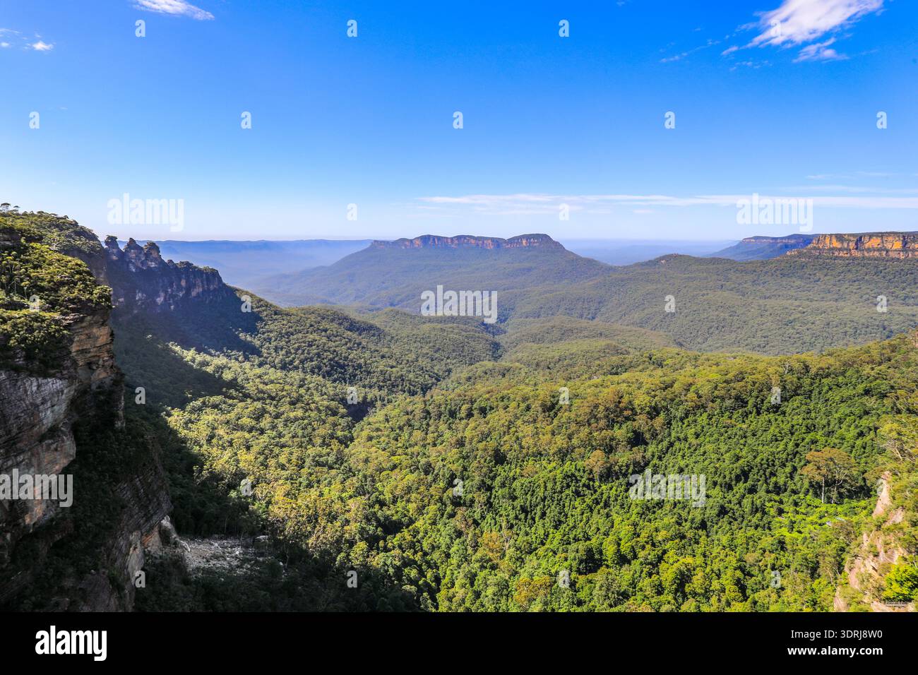Vue panoramique sur Jamison Valley depuis Echo point dans les Blue Mountains avec paysage boisé et falaises de grès spectaculaires. Banque D'Images