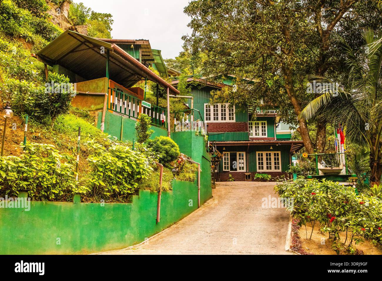 Ancienne plantation de thé abandonnée Geragama au Sri Lanka Kandy Road Banque D'Images