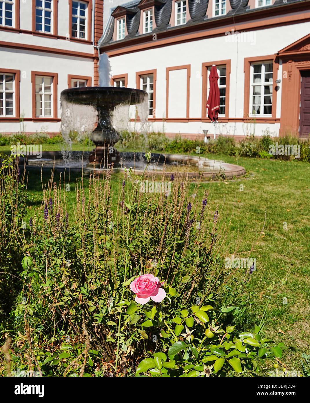 Philippsruhe Palace 18ème siècle à Hanau, Hesse Banque D'Images