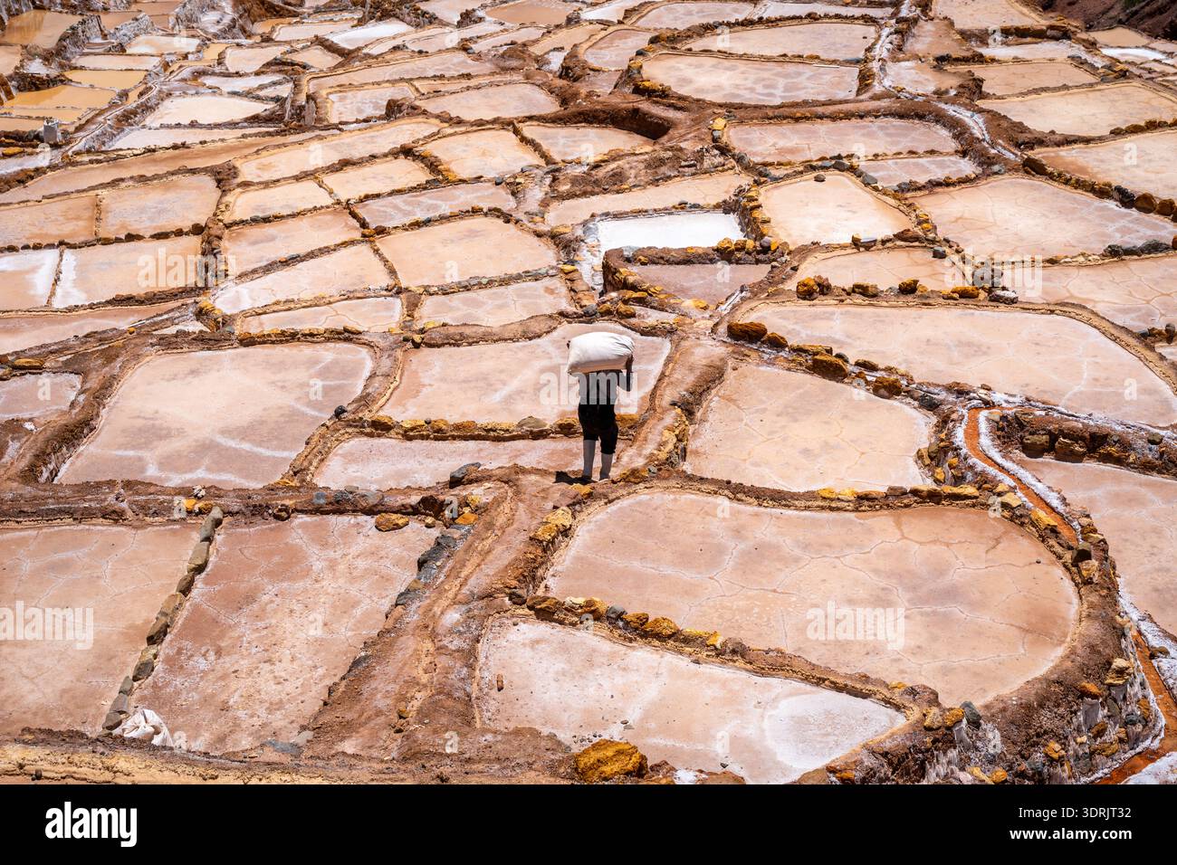 Terrasses de sel à Salinas de Maras dans la Vallée sacrée, Pérou Banque D'Images