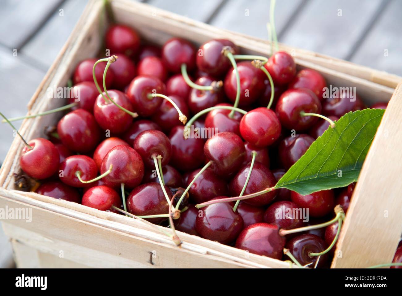 Panier avec cerises Banque D'Images