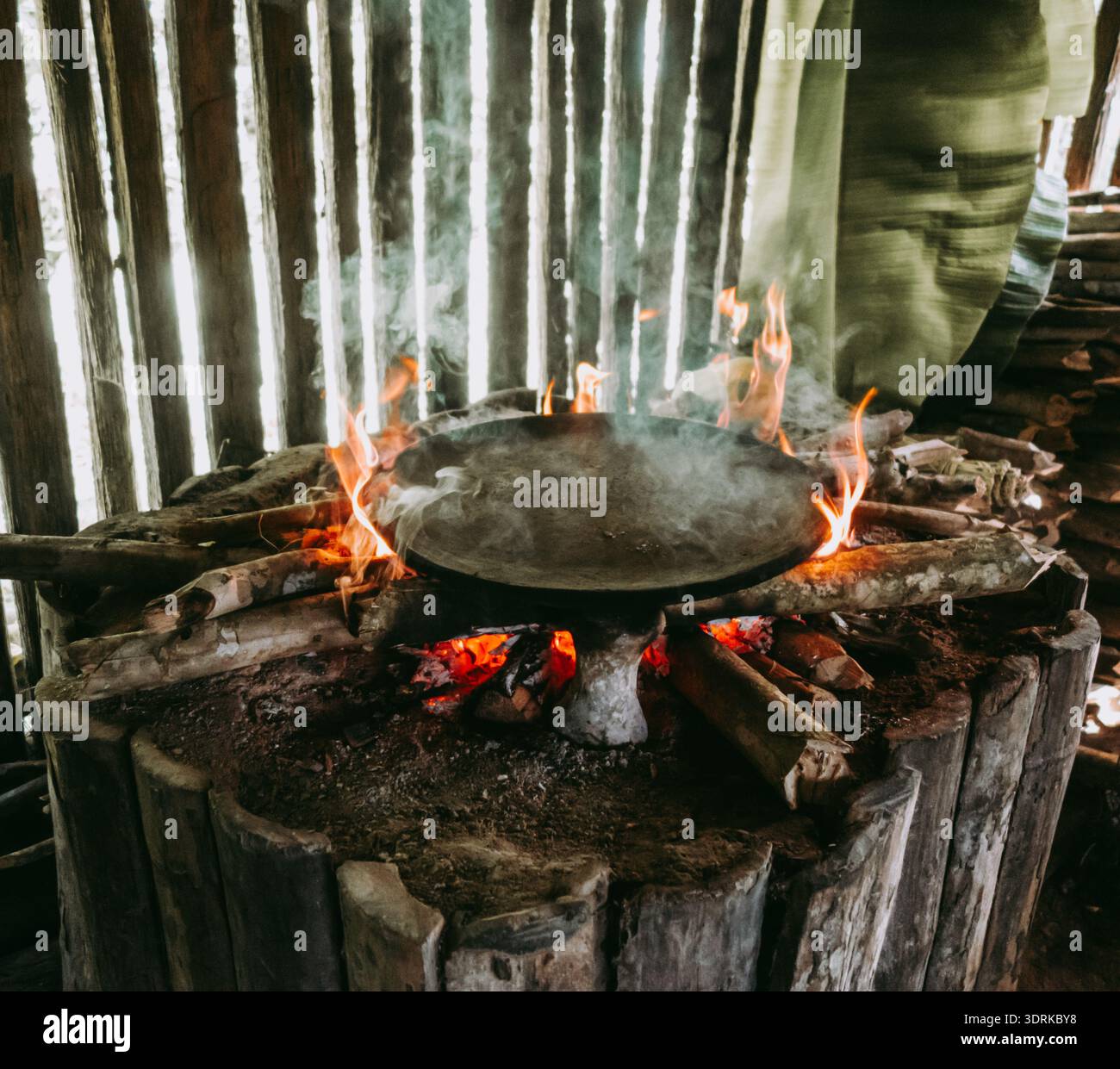 Cuisson du gâteau de manioc dans le village de Siona, Cuyabeno, amazonie, Équateur Banque D'Images