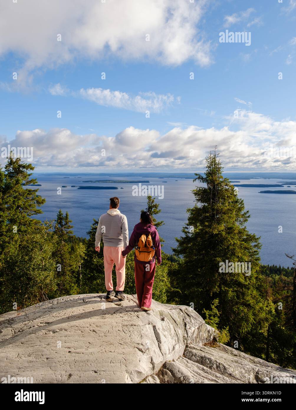 Vue imprenable sur le parc national de Koli avec les randonneurs profitant du paysage serein de Finlande Banque D'Images