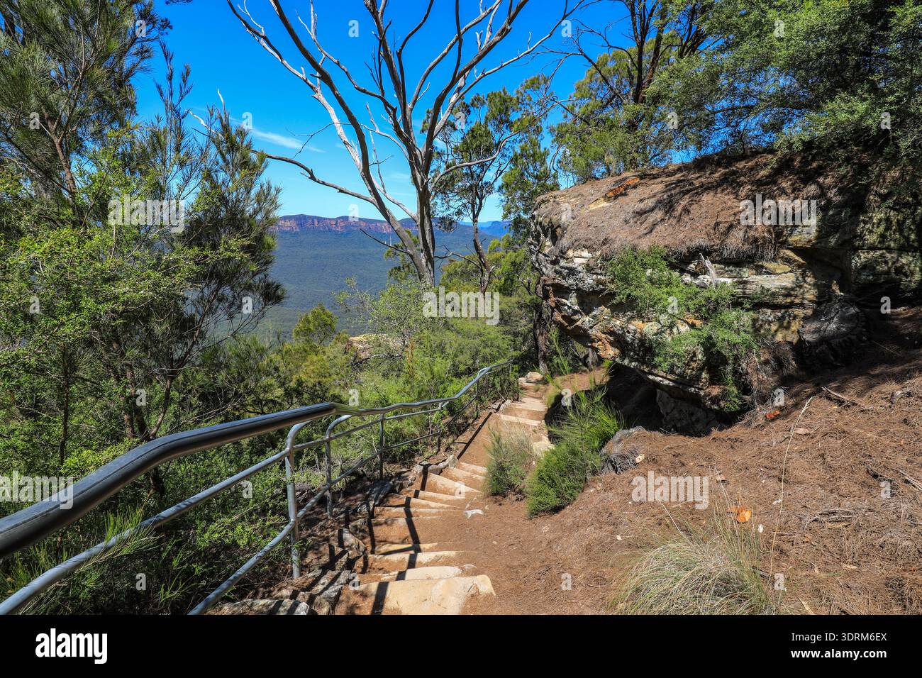 Vue panoramique de Jamison Valley capturée depuis le belvédère sublime point dans les Blue Mountains montrant la vallée boisée, les falaises et la nature sauvage Banque D'Images