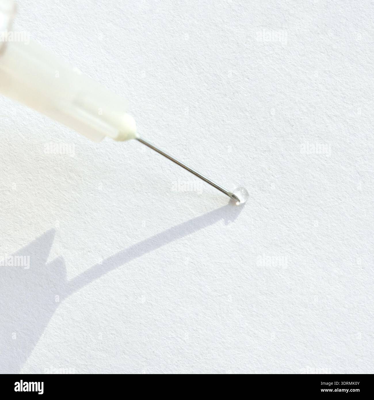 Gros plan de l'aiguille hypodermique sur fond blanc avec ombre et transparent Banque D'Images