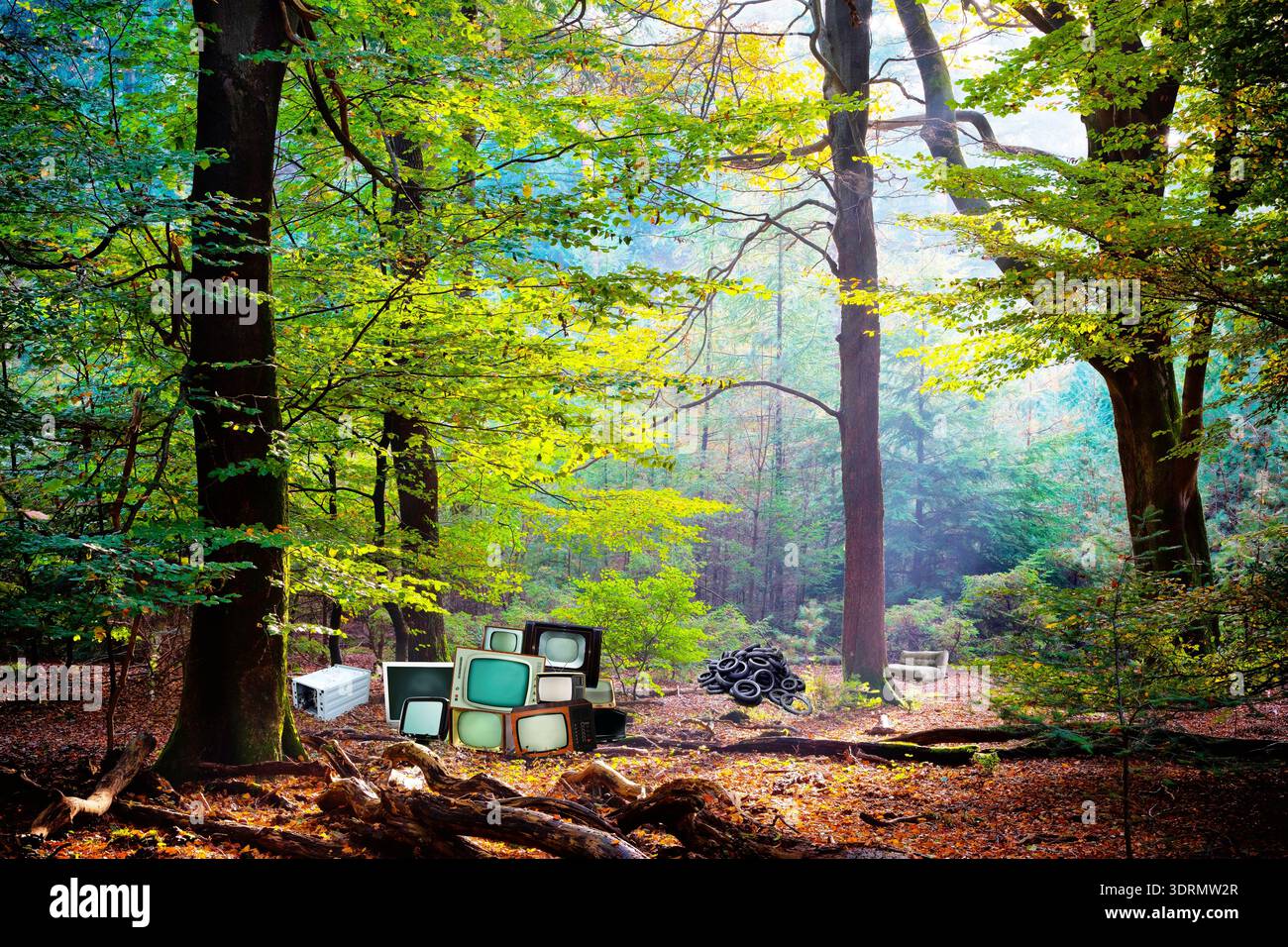 Décharge illégale dans une forêt Banque D'Images