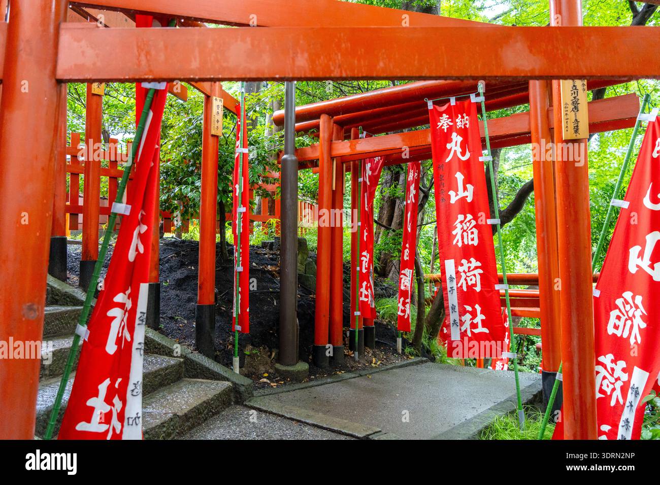 Portes et drapeaux Torii au sanctuaire Maruyama Inari à Kamakura Banque D'Images