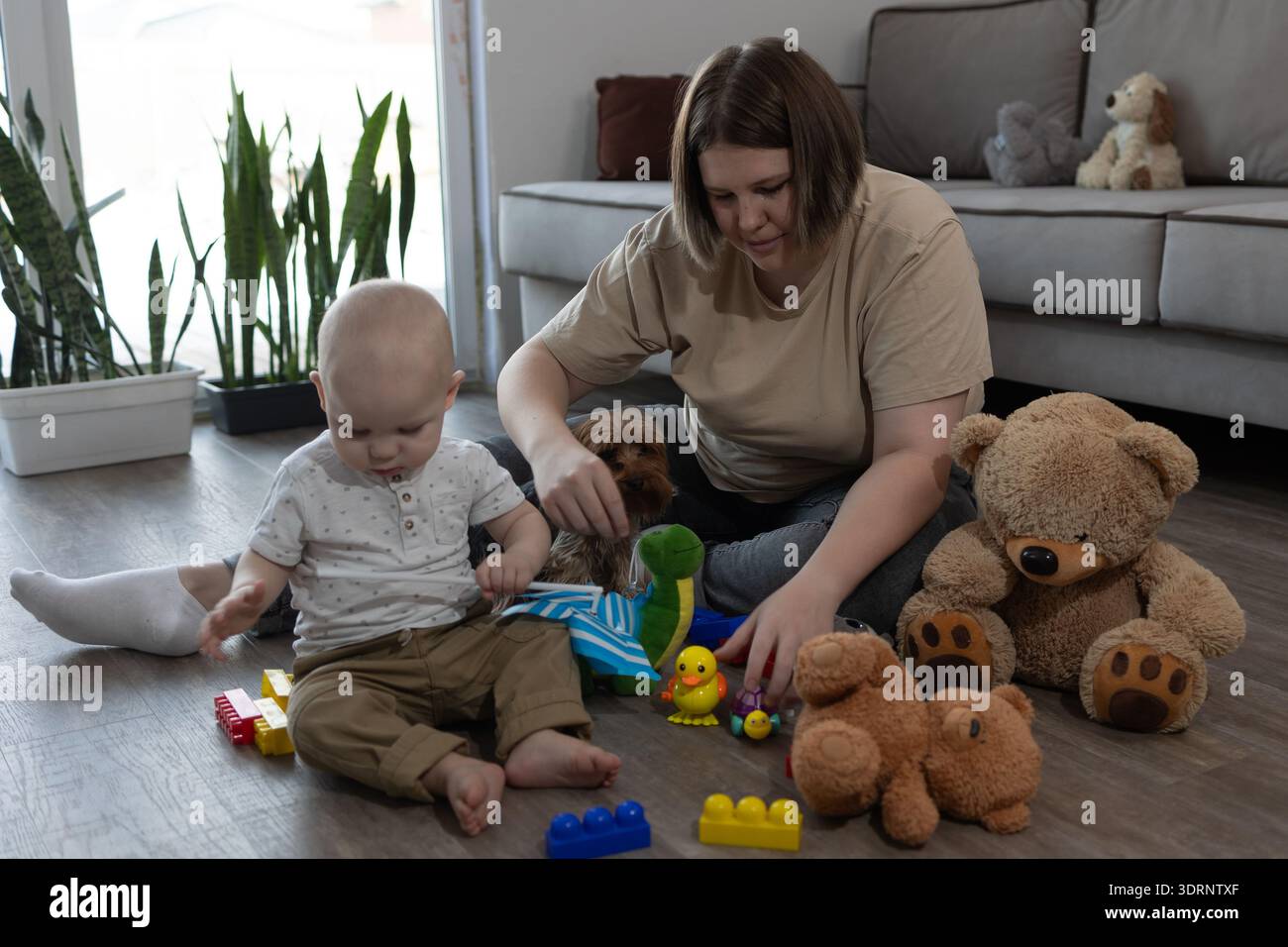 Mère caucasienne jouant avec bébé sur le sol entouré d'ours en peluche, blocs colorés, canard en caoutchouc et jouets en peluche, petit chien d'observation entre les jambes, lumière du jour douce de la fenêtre, en pot Banque D'Images