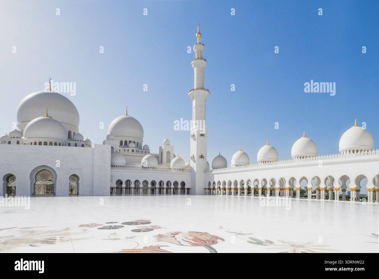 Emirates - VAR, Abu Dhabi - Grande Mosquée Sheikh Zayed Banque D'Images