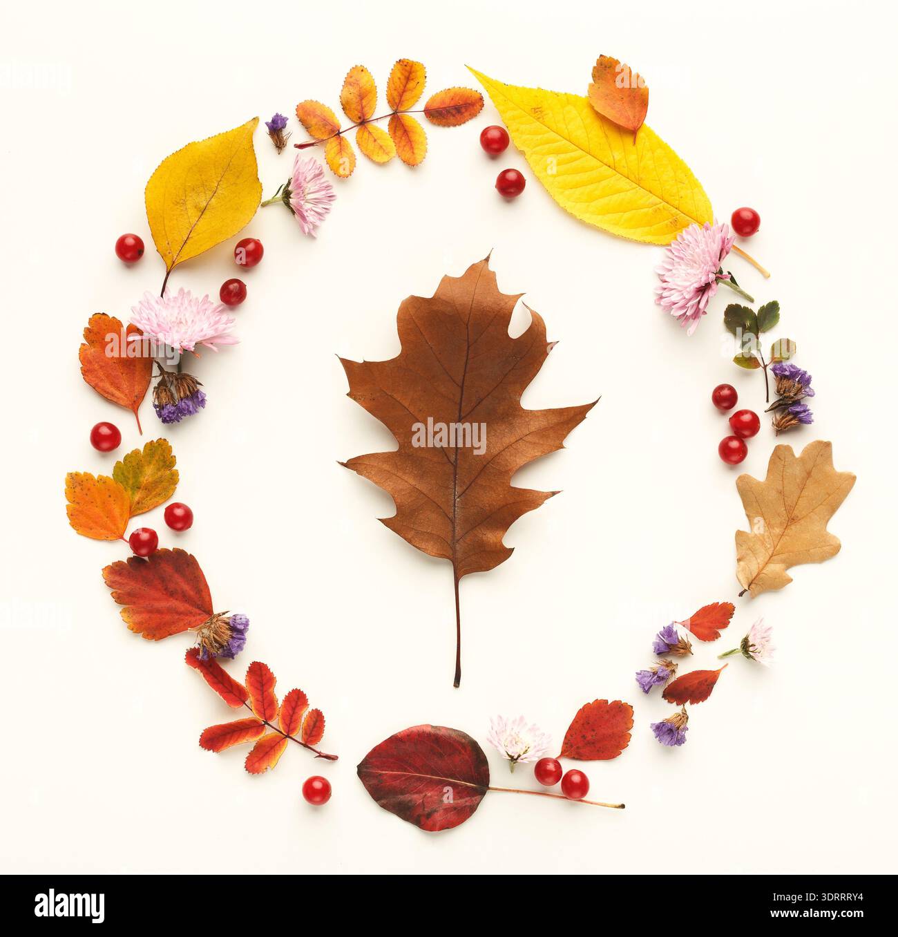 Collage de feuilles d'automne et de fleurs disposées dans un design circulaire pour l'affichage Banque D'Images