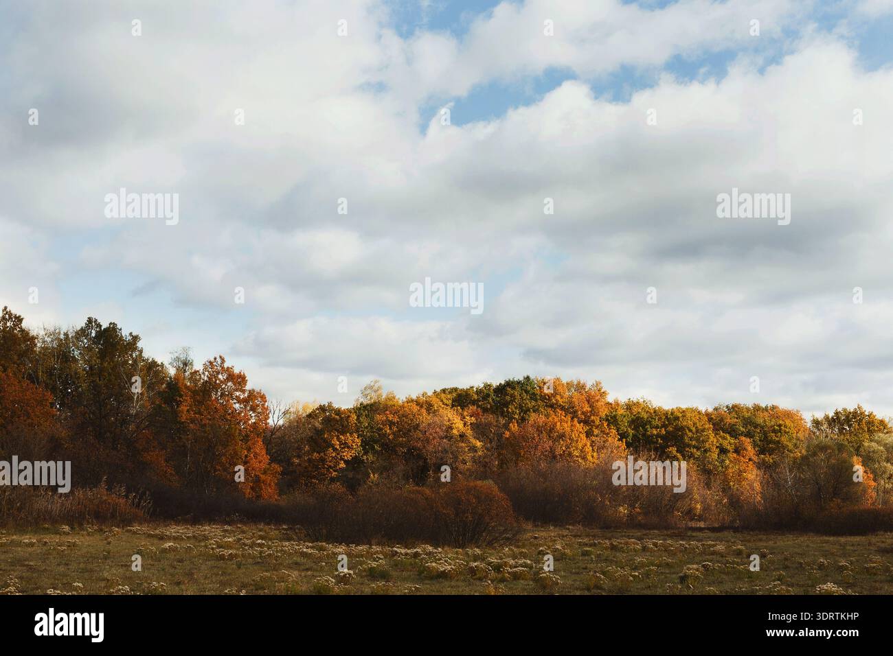 Couleurs d'automne et ciel changeant dans un paysage naturel pendant la journée Banque D'Images