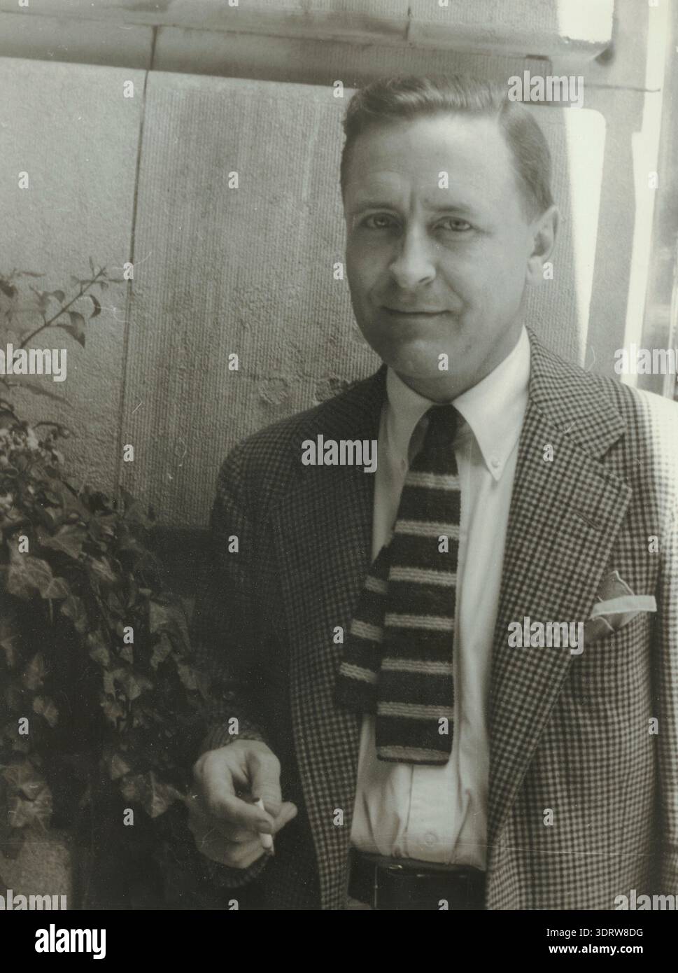 Portrait de F. Scott Fitzgerald (1896-1940). Musée : COLLECTION PRIVÉE. AUTEUR : CARL VAN VECHTEN. Banque D'Images