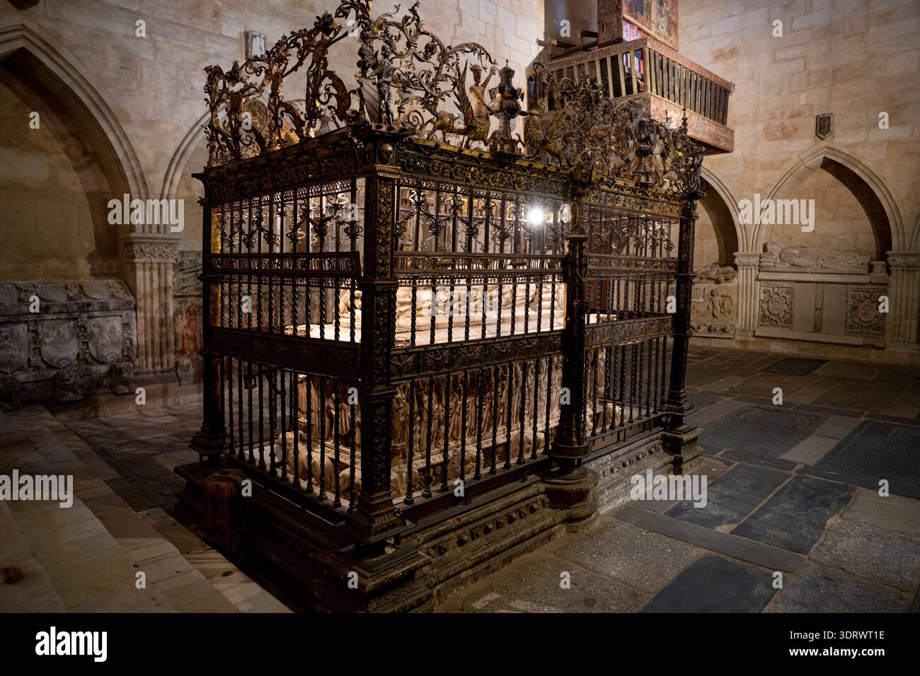 Ferronnerie complexe entourant un tombeau de pierre., cage Banque D'Images