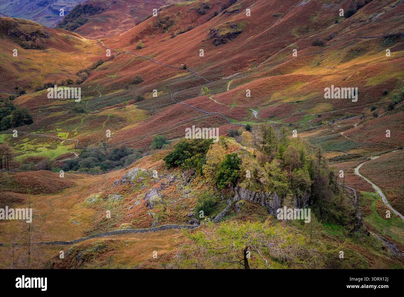Borrowdale de Castle Crag, Lake District, Cumbria Banque D'Images