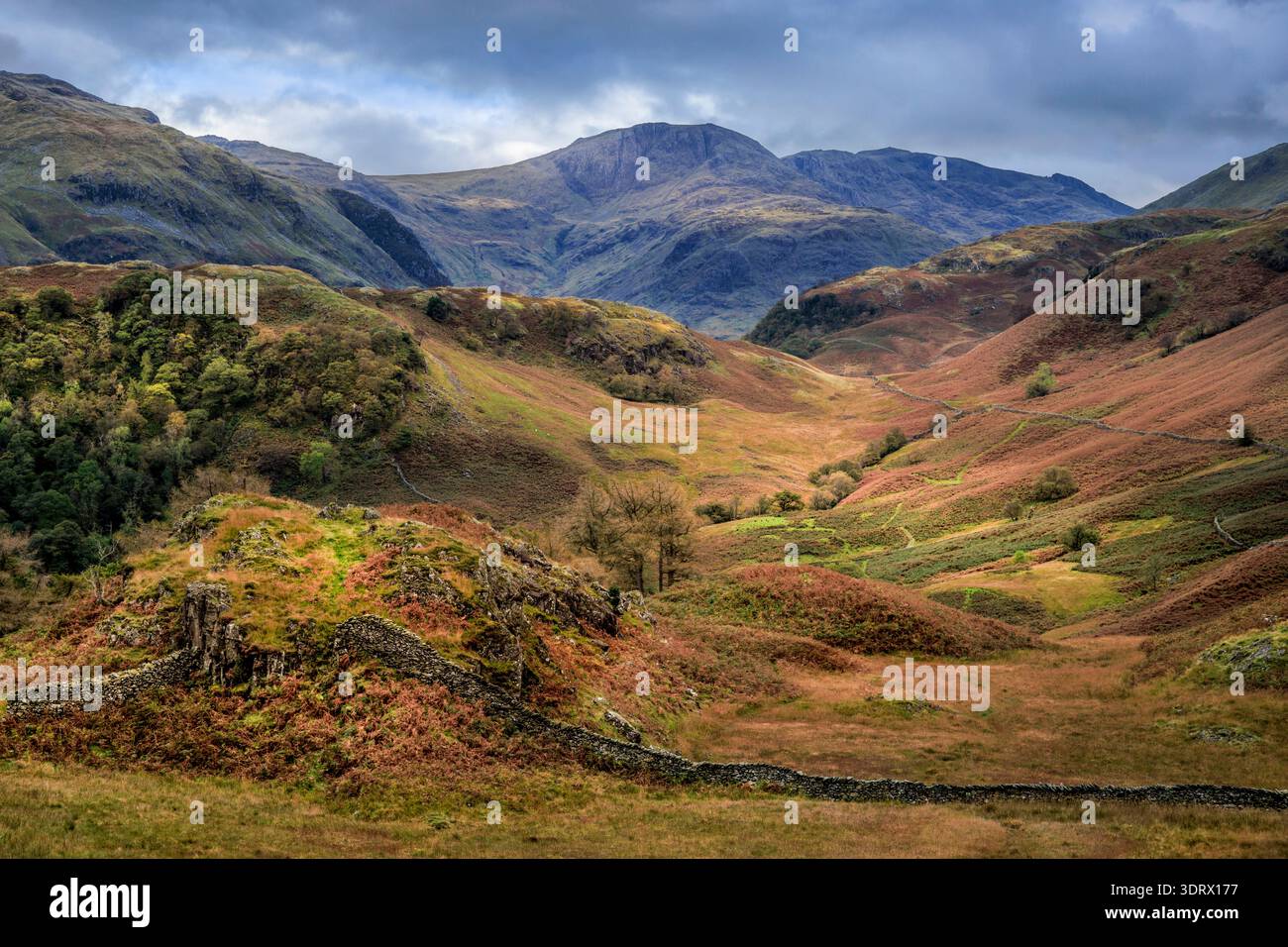 Borrowdale et les Borrowdale Fells de Castle Crag, Lake District, Cumbria Banque D'Images