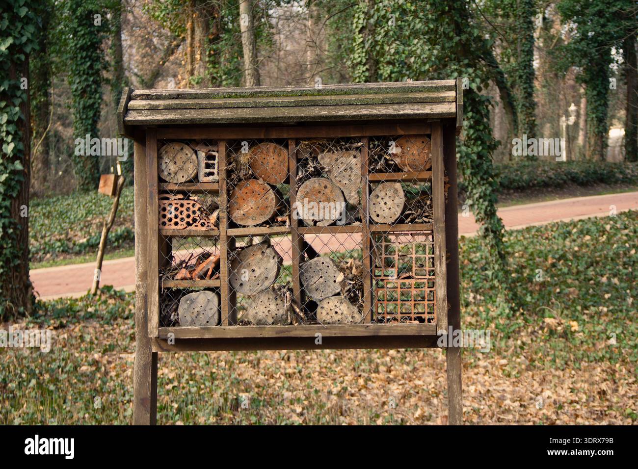 Hôtel pour insectes (ou insectes) est un bâtiment artificiel fait de matériaux naturels qui sert de refuge, de lieu pour l'accouplement et l'hibernation des Banque D'Images