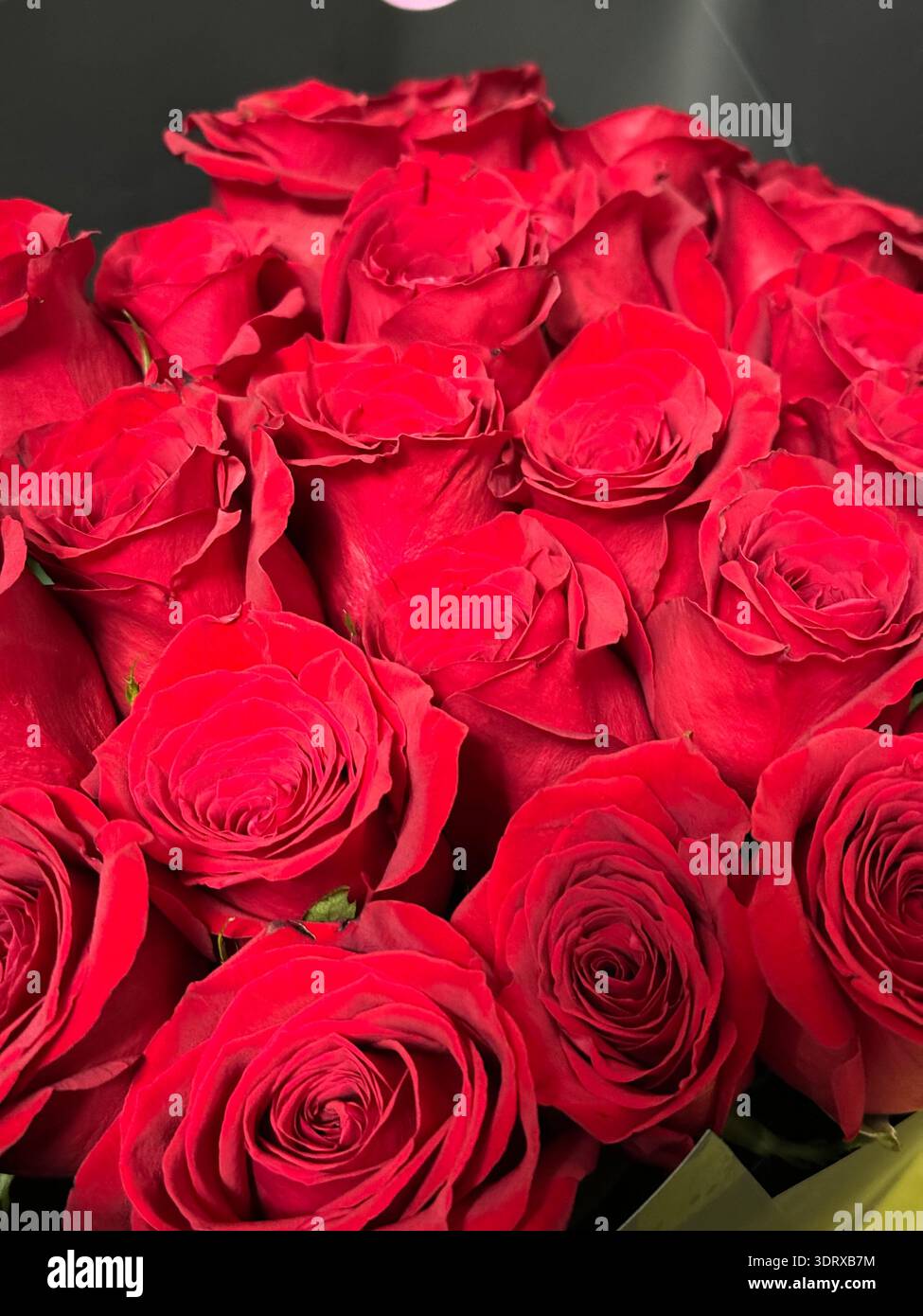 Bouquet de roses rouges de luxe dans la boîte noire, cadeau floral romantique - Image de stock capturée avec un smartphone