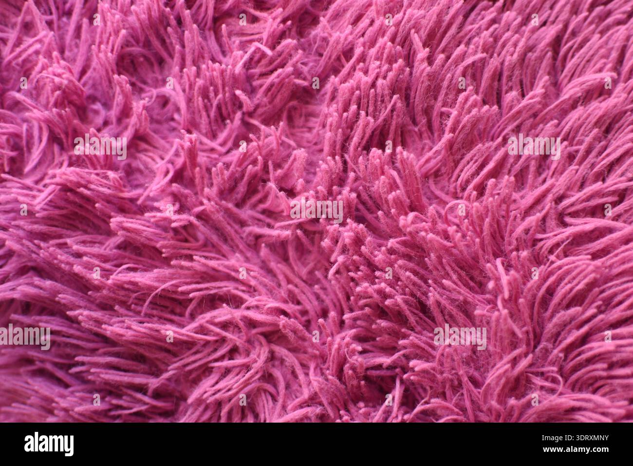 Texture de tissu peluche rose doux et fuchsia. Gros plan du textile à fourrure montrant une surface moelleuse et confortable avec des couleurs vives, parfait pour les arrière-plans Banque D'Images