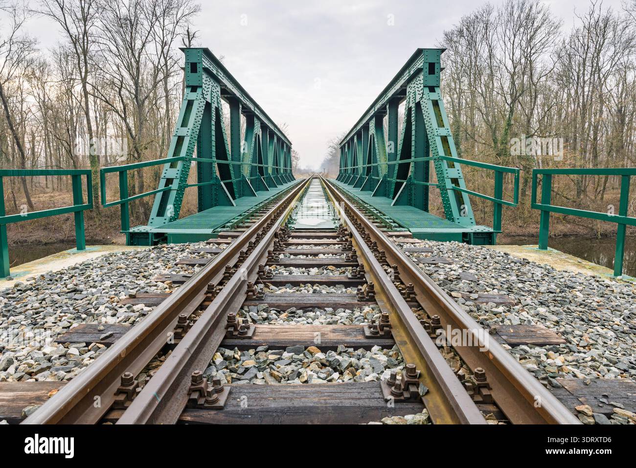 Vue en perspective longue d'un pont de chemin de fer en acier vert et des voies menant à une forêt sans feuilles, évoquant le voyage, la solitude et le design industriel sous-jacent Banque D'Images