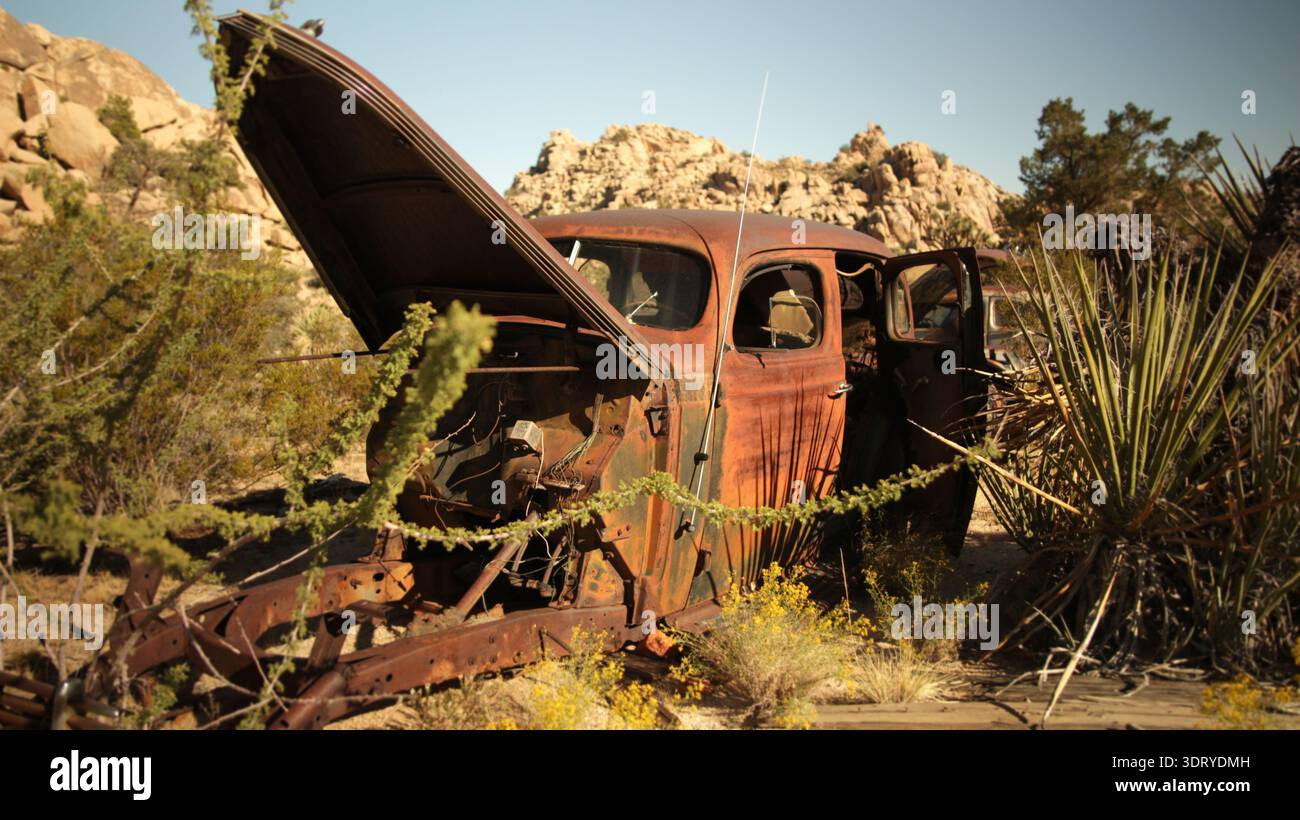 Une voiture vintage rouillée avec un capot ouvert se dresse au milieu de la végétation du désert au Keys Ranch dans le parc national de Joshua Tree dimanche. Banque D'Images