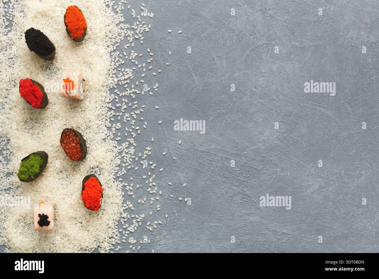 Variété de pièces de Sushi disposées sur fond de riz blanc et gris Banque D'Images