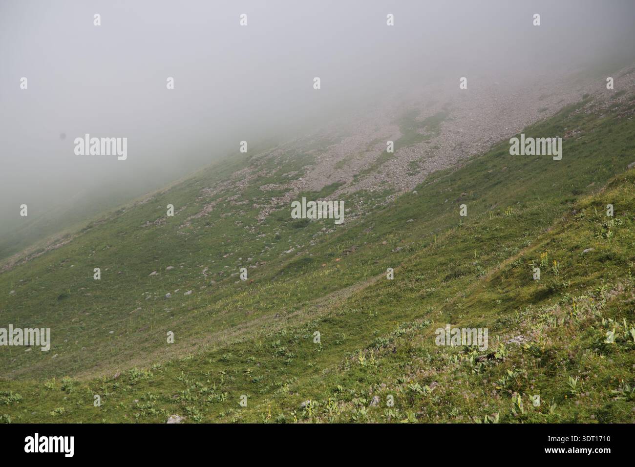 Paysage brumeux à Derborence, en Suisse, présentant des collines tranquilles et des teintes douces. Banque D'Images
