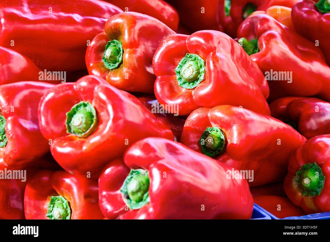 Poivrons, marché de rue, ville de Tarragone, Catalogne, Espagne, Europe Banque D'Images